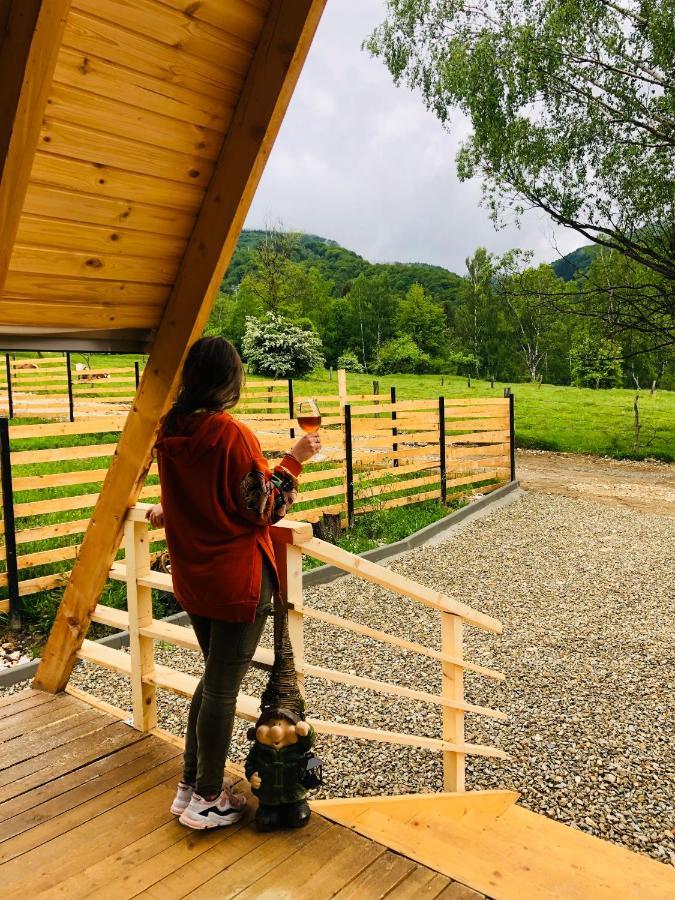 Lupeni Zenith A-Frame Straja别墅 外观 照片